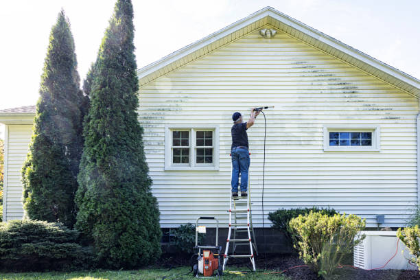 Best Vinyl Siding Pressure Washing in Keokuk, IA